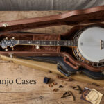 Best Banjo Cases