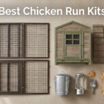 Best Chicken Run Kits