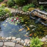 Best UV Pond Clarifiers