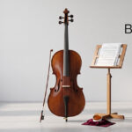 Best Beginner Cellos
