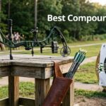 Best Compound Bows