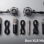 Best XLR Microphones
