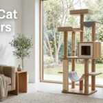 Best Cat Towers