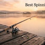 Best Spinning Rods