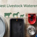 Best Livestock Waterers