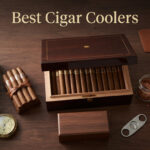 Best Cigar Coolers