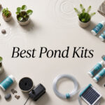 Best Pond Kits