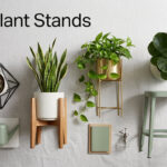 Best Plant Stands
