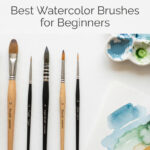 Best Watercolor Brushes for Beginners