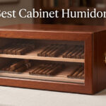 Best Cabinet Humidors