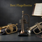 Best Flugelhorns