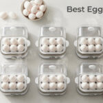Best Egg Cookers