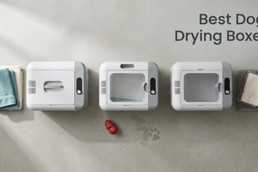 Best Dog Drying Boxes