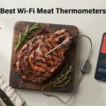 Best Wi-Fi Meat Thermometers