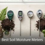 Best Soil Moisture Meters