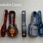 Best Mandolin Cases