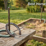 Best Horseshoe Sets
