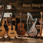 Best Harp Guitars