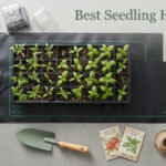 Best Seedling Heat Mats