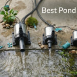 Best Pond Pumps