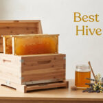 Best Flow Hive Kits