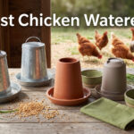 Best Chicken Waterers