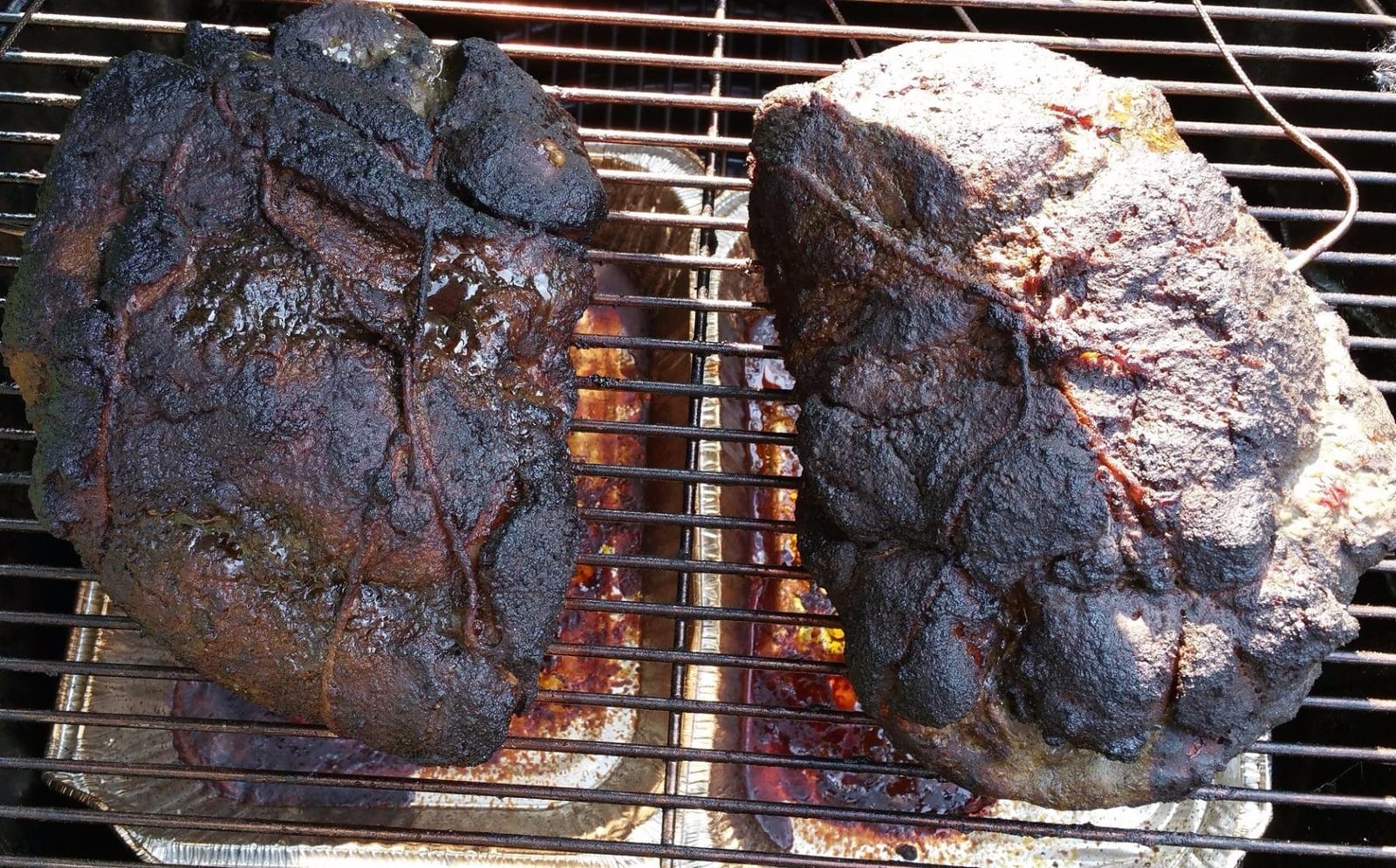 Meathead: The Science of Great Barbecue and Grilling – An NYT Bestselling BBQ Cookbook and Smoker Guide customer photo 2