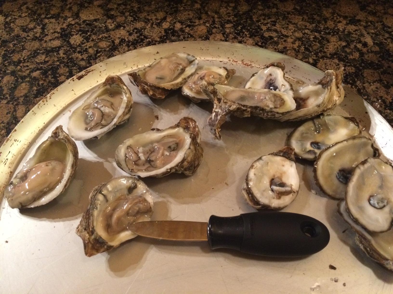 OXO Good Grips Stainless Steel Non-Slip Oyster Knife customer photo 1