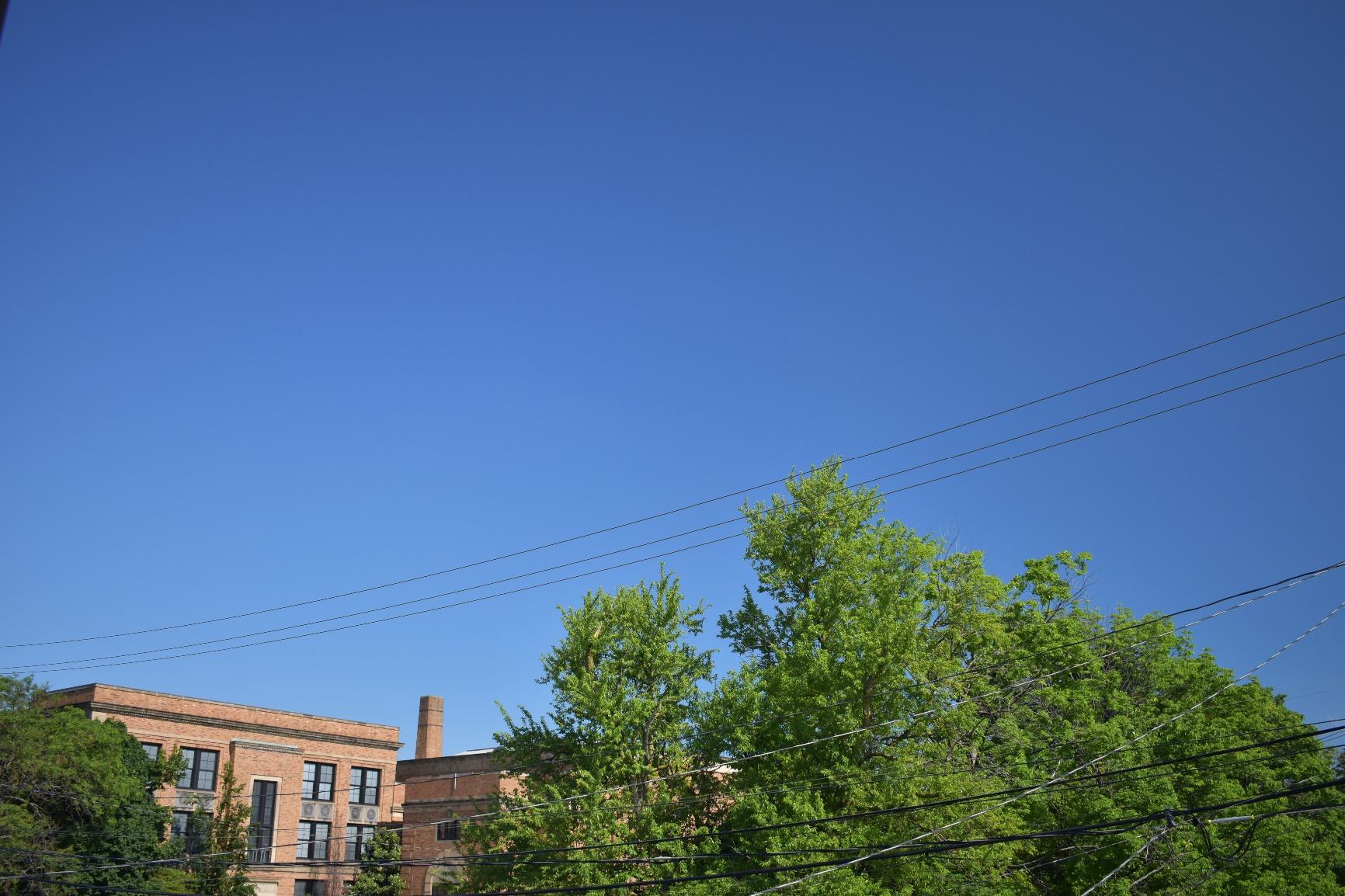 Tiffen 77mm CPL Circular Polarizing Filter Reduce Glare & Reflections | Reveals Details Hidden by Glare, Improves Image Contrast, Increases Color Saturation, Deepens Blue skies, Enhances Clouds customer photo 2