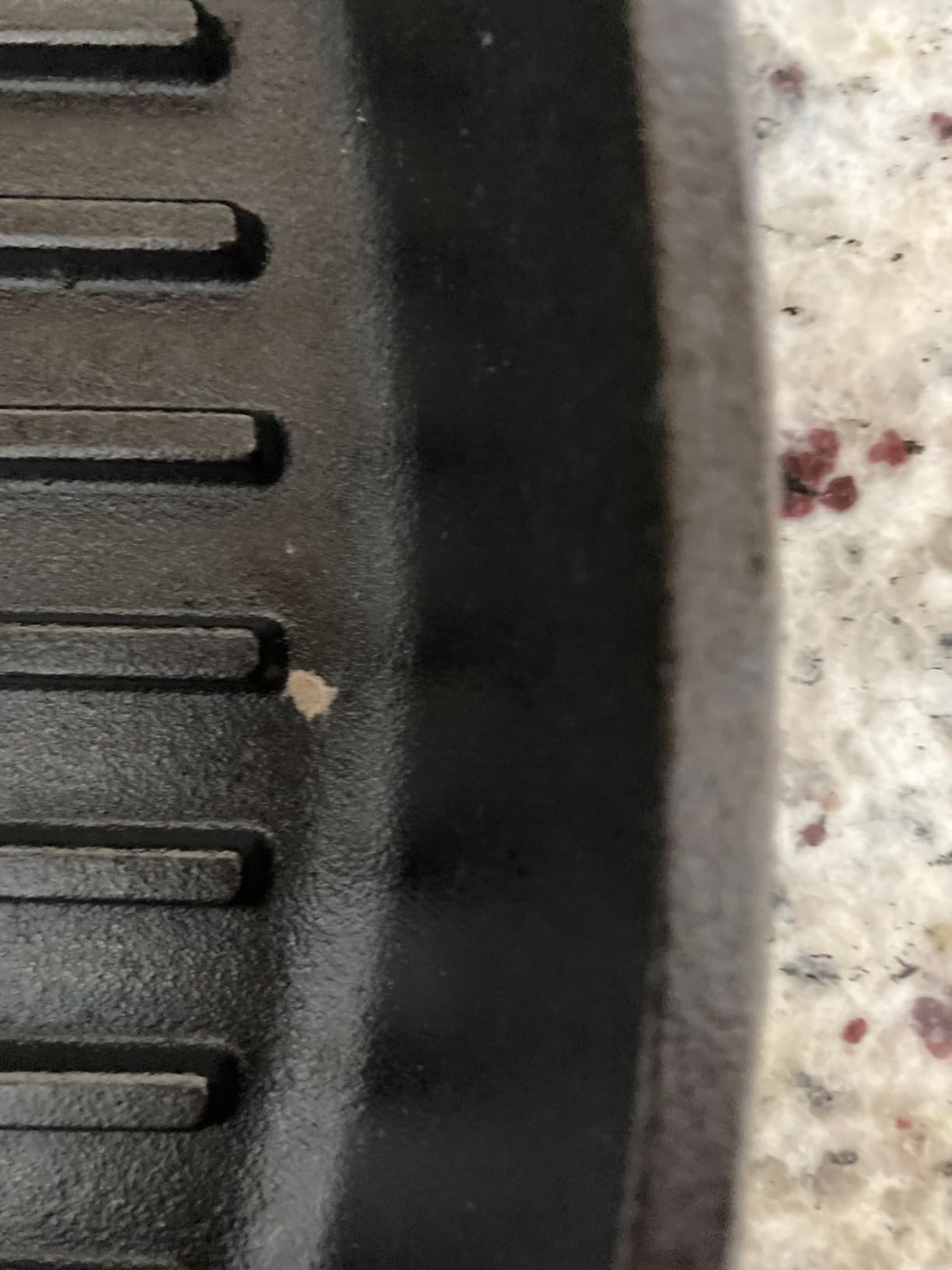 Lodge Square Cast Iron Grill Pan, PFAS-Free, 10.5 Inches customer photo 2