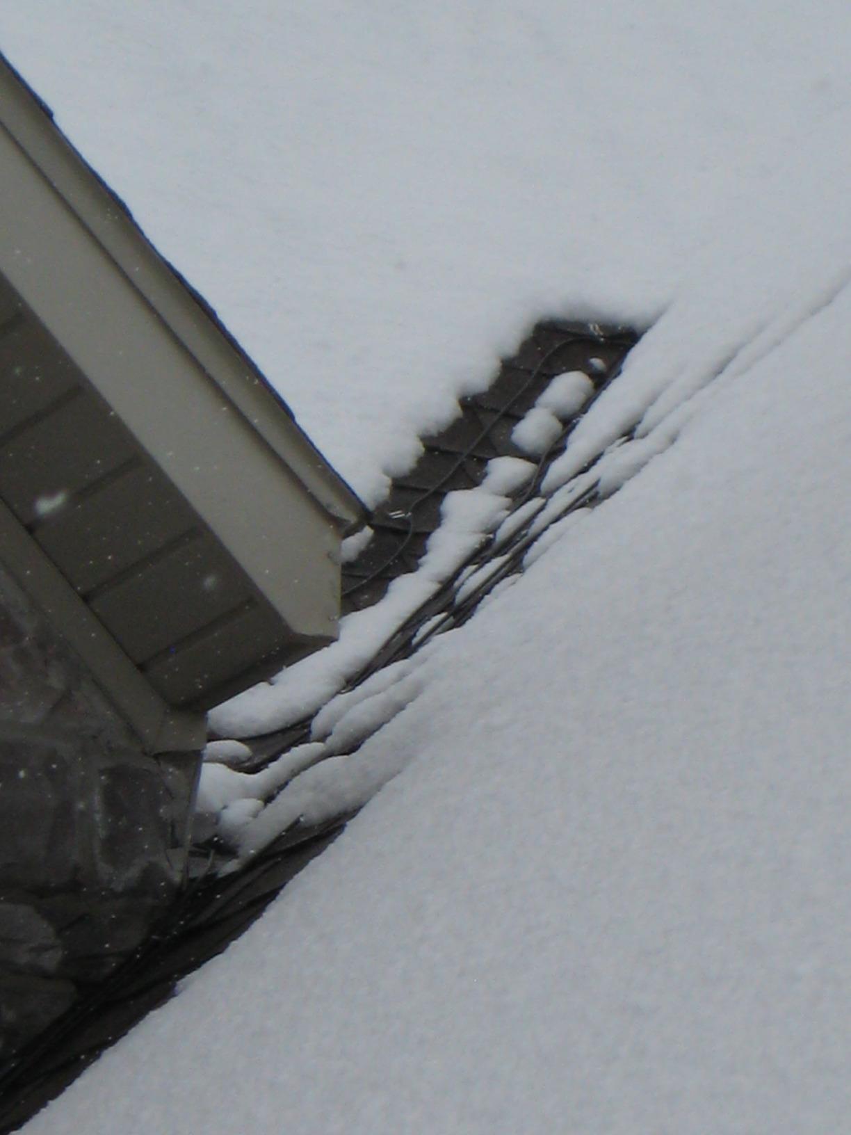 EasyHeat 80' Roof Deicing Cable, For Roof and Gutters, Pre-assembled for Ice and Snow Damage Prevention, 400 Watts customer photo 1