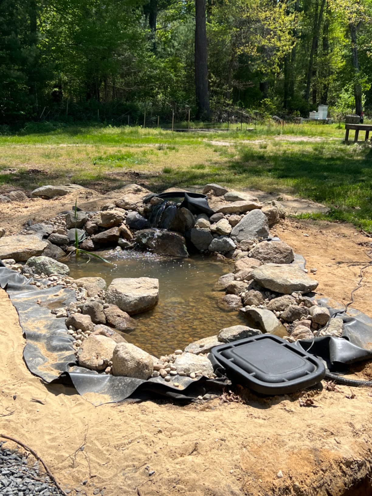 Aquascape DIY Backyard Pond Kit 8 x 11 feet – Complete Water Garden Ecosystem with Pump, Skimmer, and Filter, 99765 customer photo 1
