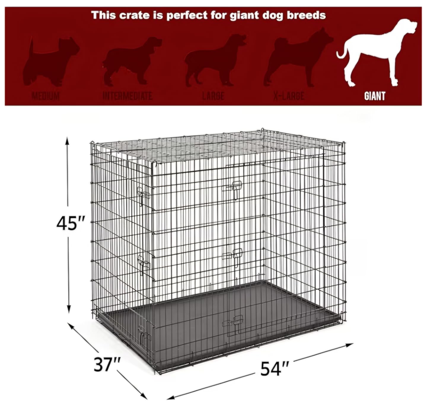 Midwest 42-Inch Double Door iCrate, for Large Breeds, 71-90 lbs customer photo 2