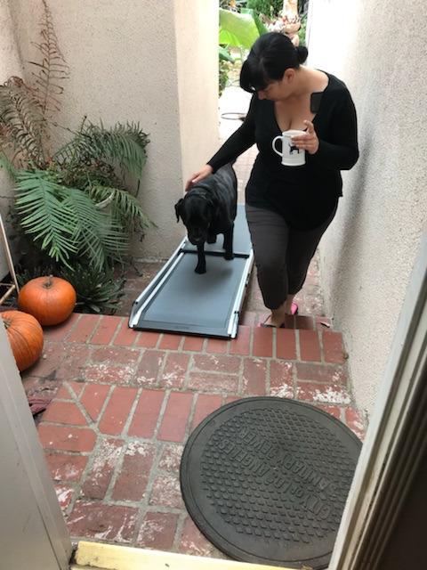Solvit 62337 Deluxe Telescoping Pet Ramp, Standard (62305) customer photo 1