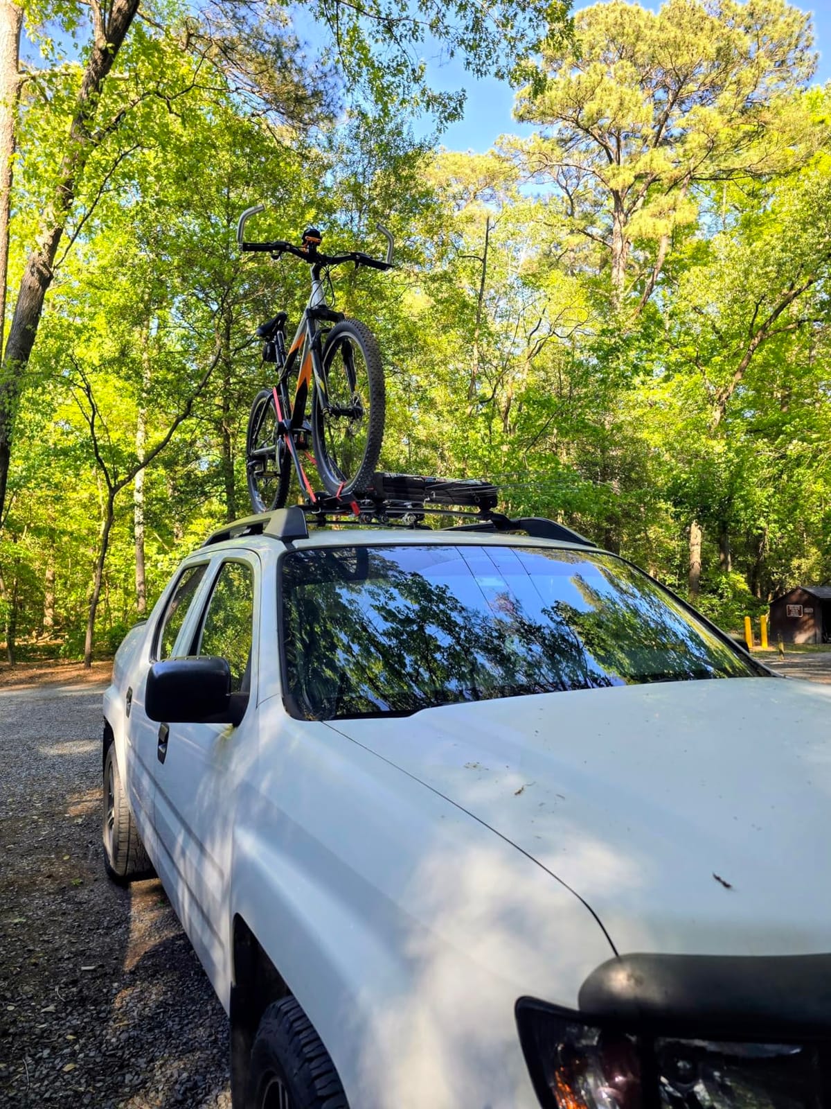 Swagman Upright Roof Mount Bike Rack – Rooftop Upright Bike Carrier for Secure Bicycle Transport customer photo 2