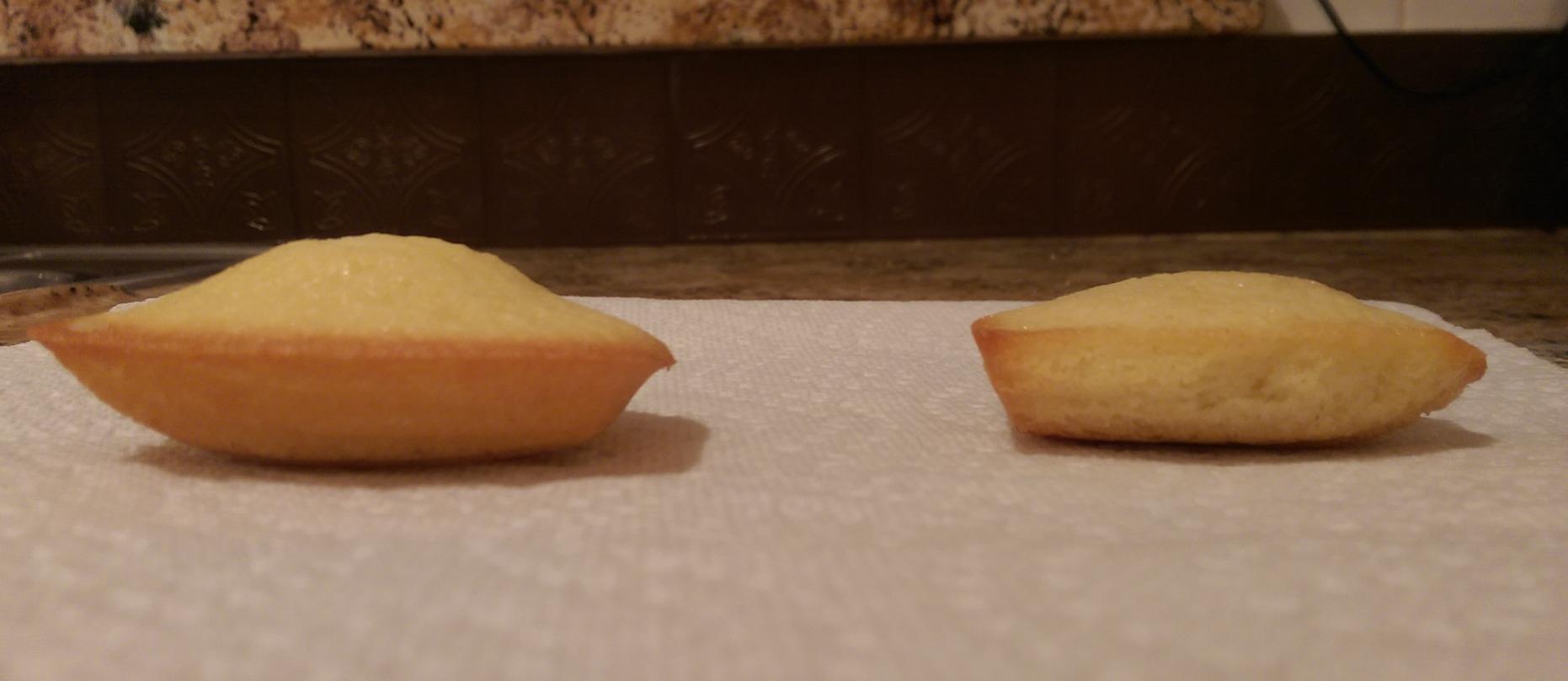Chicago Metallic Professional 12-Cup Non-Stick Madeleine Pan, 15.75-Inch-by-7.75-Inch customer photo 2