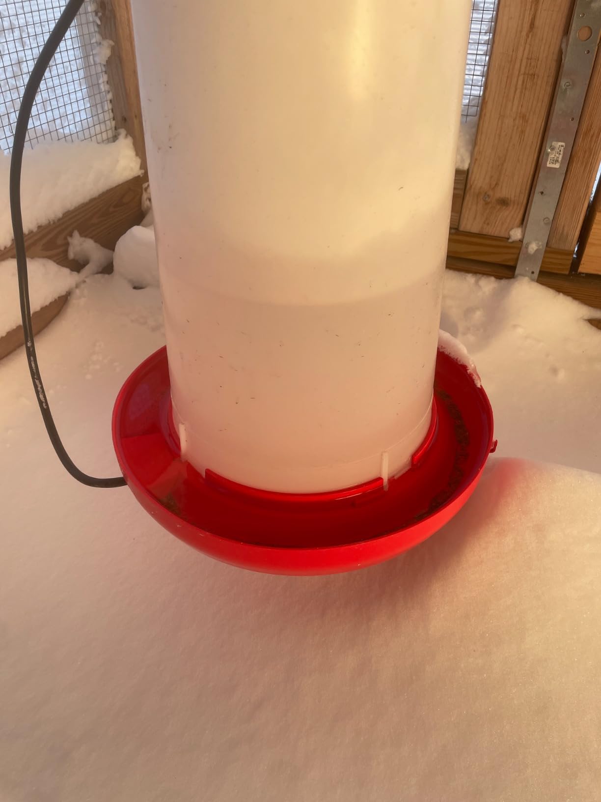 Farm Innovators Thermostatically Controlled Heated 3 Gallon Plastic Outdoor Year Round Hanging Water Fountain for Poultry Watering, Red customer photo 1