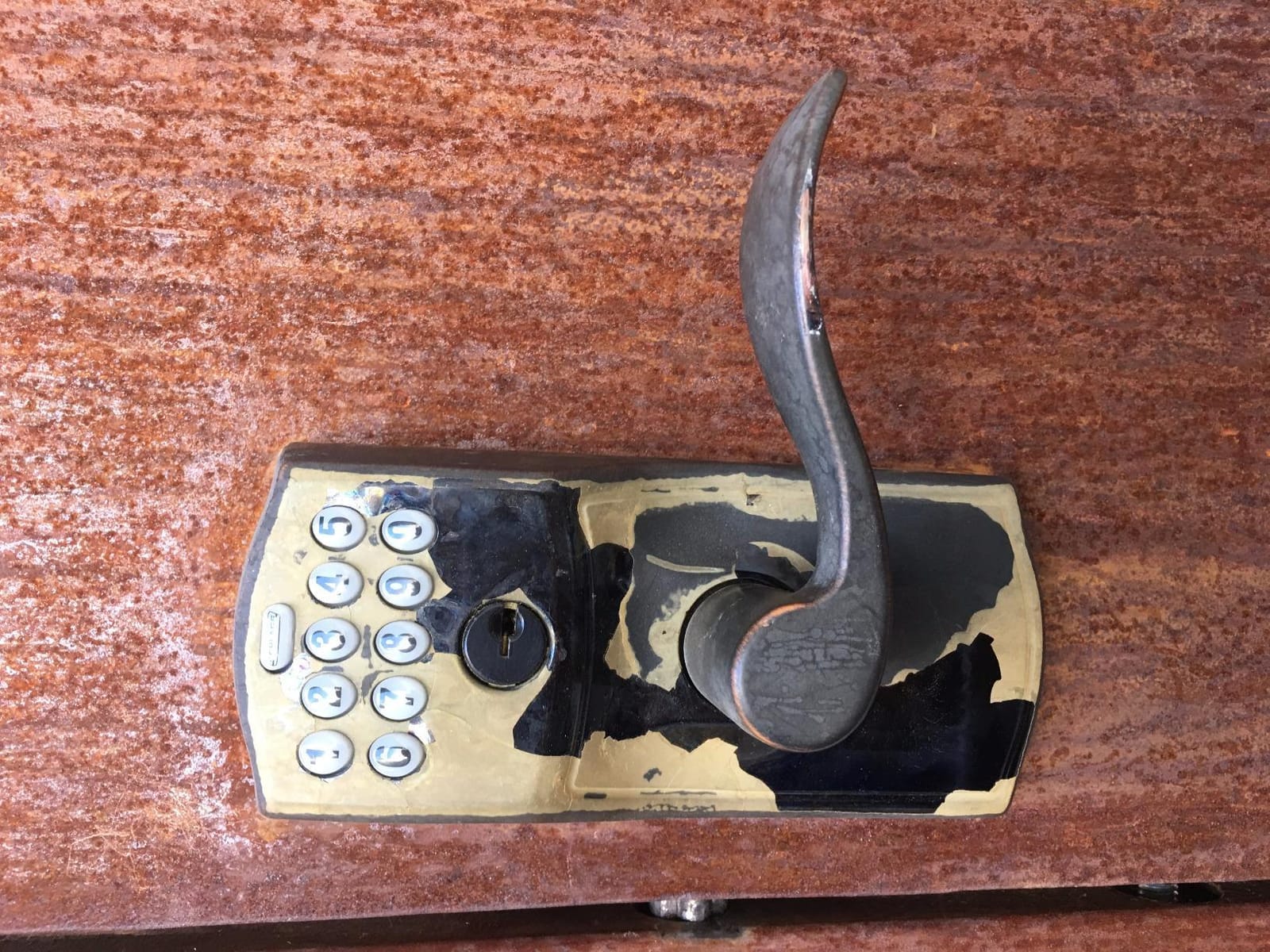 Schlage Electronic Keypad Lock, Lever Handle, Camelot Trim, Satin Chrome customer photo 1