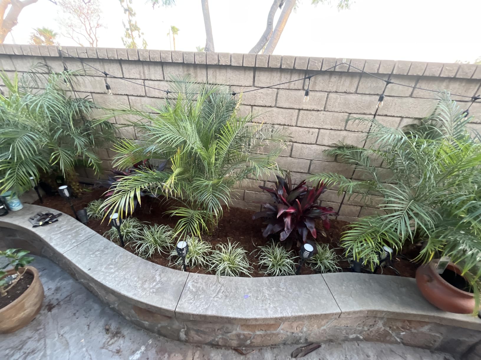 Espoma Organic Plant-Tone 5-3-3 Natural & Organic All Purpose Plant Food; 4 lb. Bag; The Original Organic Fertilizer for All Flowers, Vegetables, Trees, and Shrubs. customer photo 2