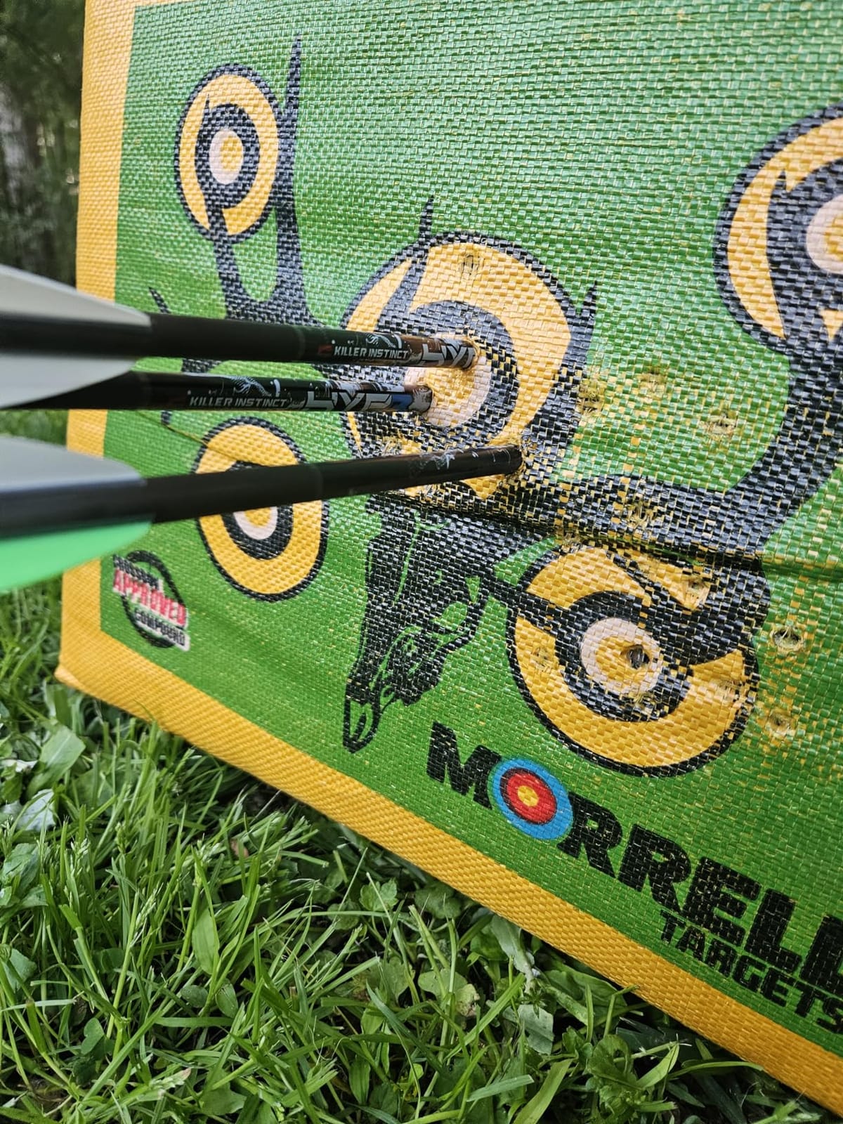 Morrell Double Duty 450 FPS Cube Field Point Archery Bag Target, Yellow customer photo 1