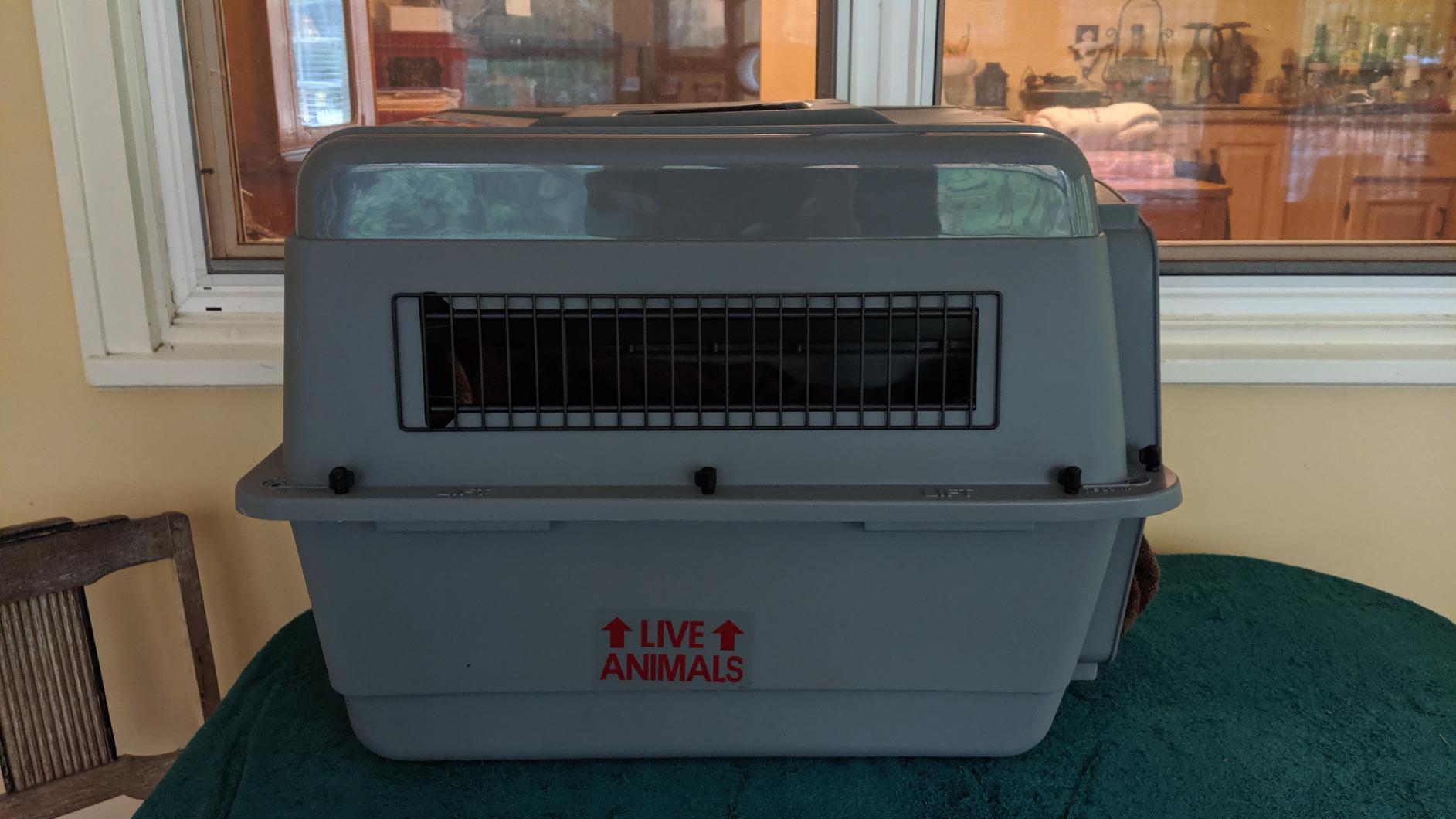 Petmate Sky Kennel for Air Travel, 21in Dog Crate for Pets up to 15lbs customer photo 1