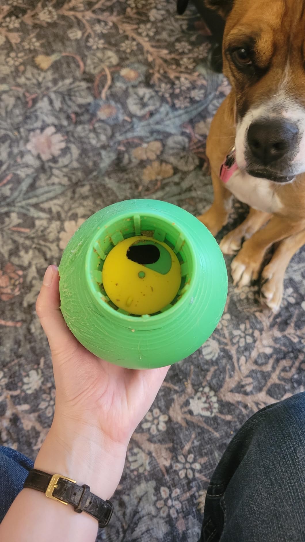 Starmark Treat Dispensing Bob-A-Lot Small Dog Interactive Feeder Toy customer photo 1