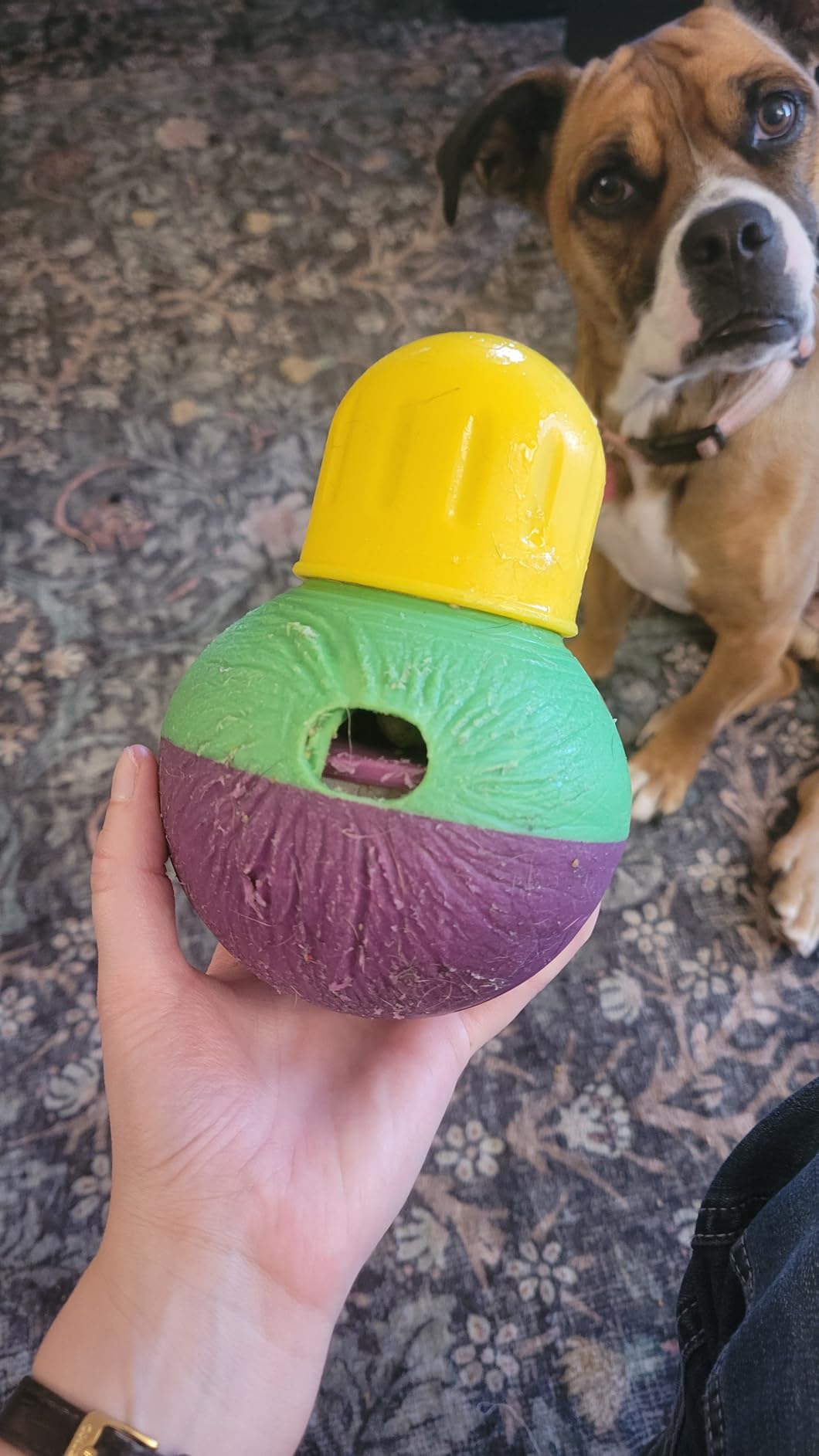 Starmark Treat Dispensing Bob-A-Lot Small Dog Interactive Feeder Toy customer photo 2