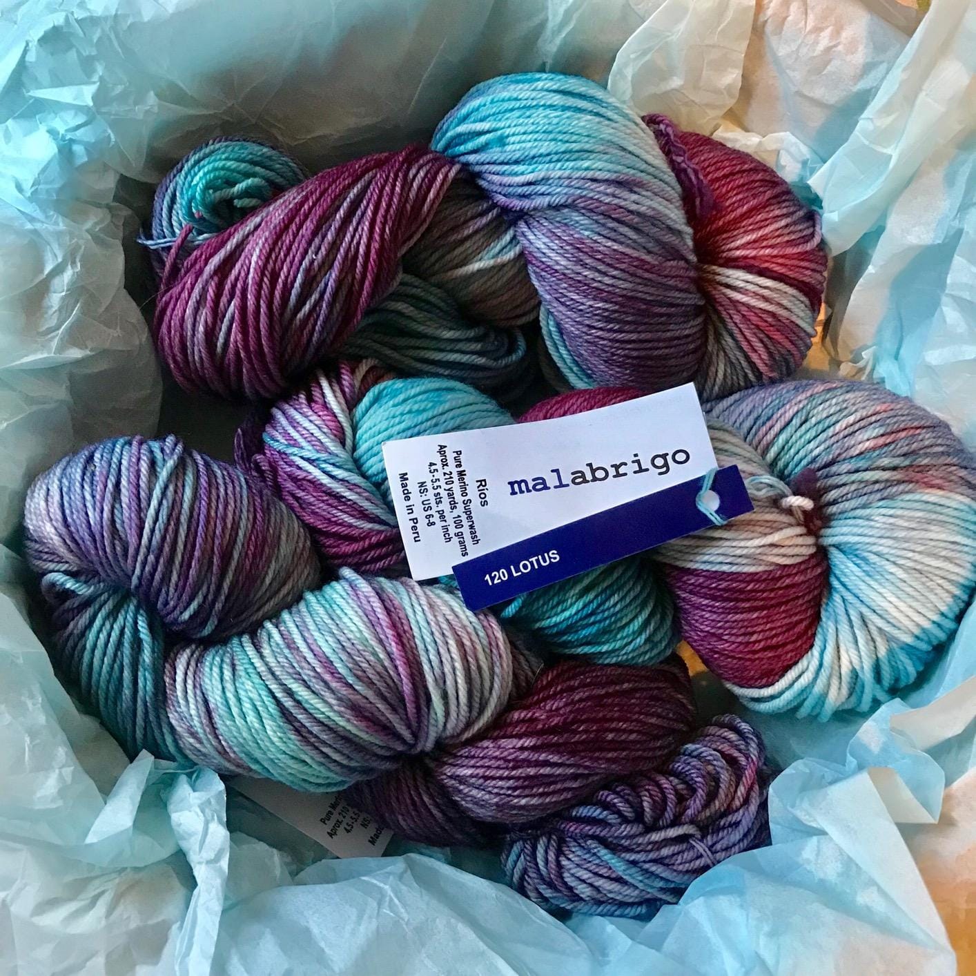 Malabrigo Rios 870 Candombe Multicolor Worsted 4 Ply Yarn 100% Superwash Merino Wool 210 Yards 100 Grams customer photo 1