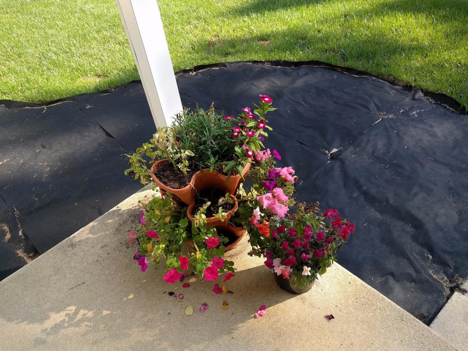 3 Tier Stacking Planter-Flower, Herb, Stackable Garden, Vegetable-Self-Watering-Indoor/Outdoor (Terracotta) customer photo 1