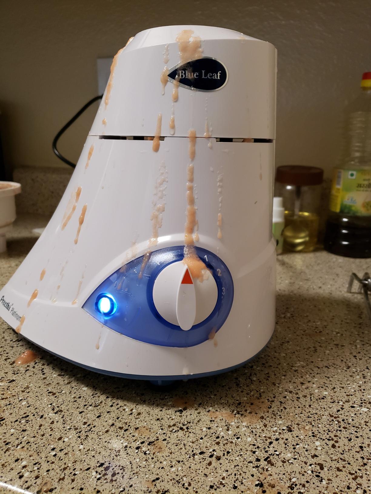 Preethi Blue Leaf Platinum 550 Watts 3 Jar Indian Mixer Grinder 110 Volts customer photo 2