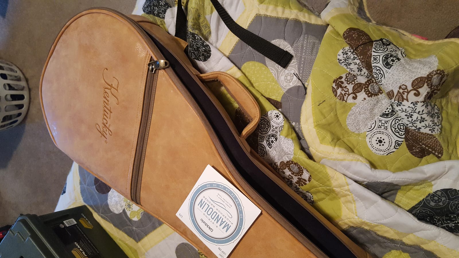 Kentucky KM-140 8-String Mandolin, Sunburst customer photo 2