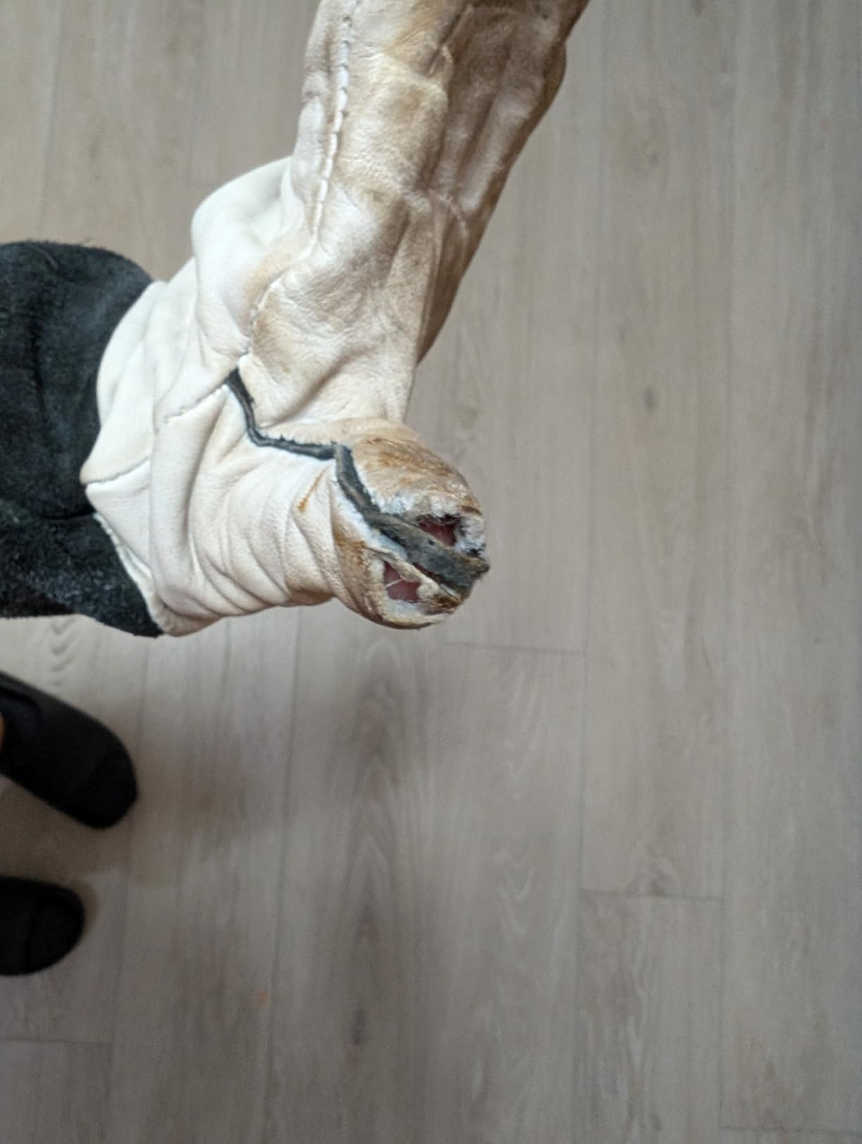 Lincoln Electric Grain Leather TIG Welding Gloves | Comfortable | Lightweight | K2981 - (M -XL) | customer photo 2