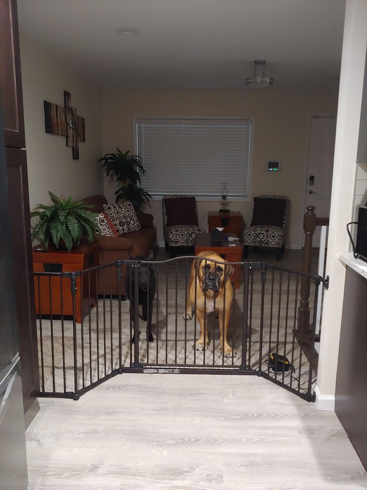 Toddleroo by North States - Deluxe Décor Safety Gate: Hardware Mounted Extra Wide Metal Baby Gate - Adjustable Child Gate - 38.3 to 72 Inches Wide - 30 Inches Tall - Matte Bronze customer photo 2