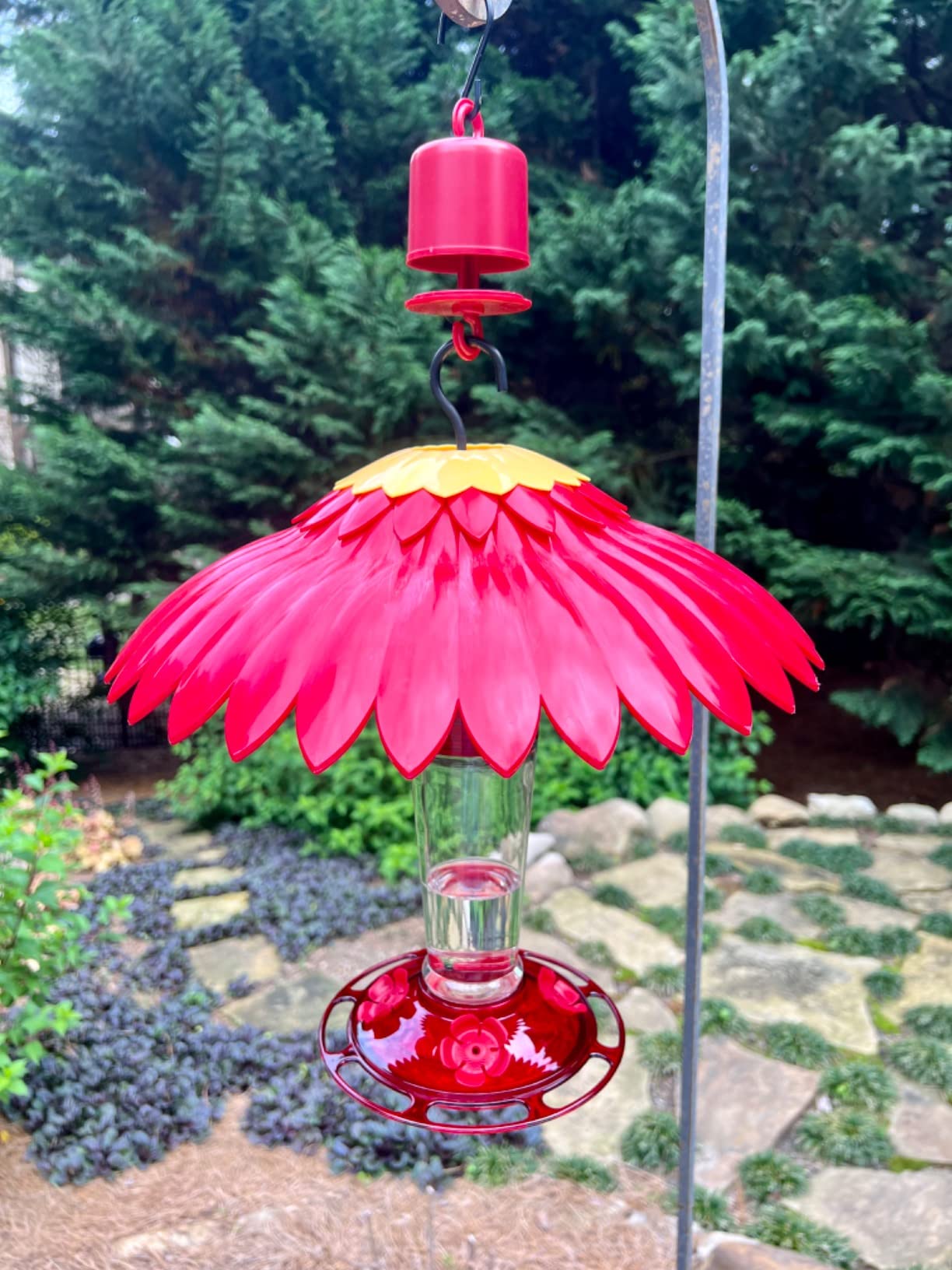 More Birds Bird Health+ Ruby Hummingbird Feeder, Glass Hummingbird Feeders for Outdoors, 4 Feeding Stations, 10 Ounces, Ruby Red customer photo 1